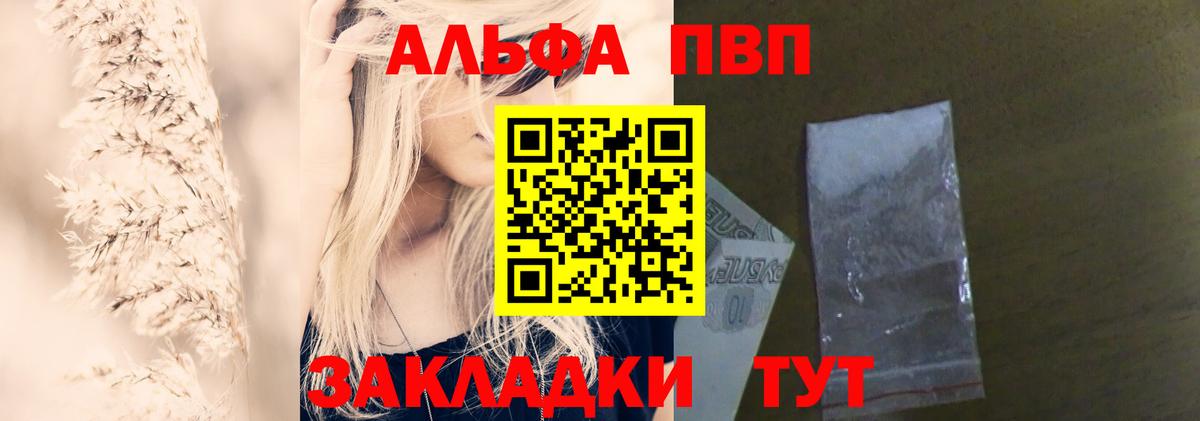 Alfa_PVP СК Саранск