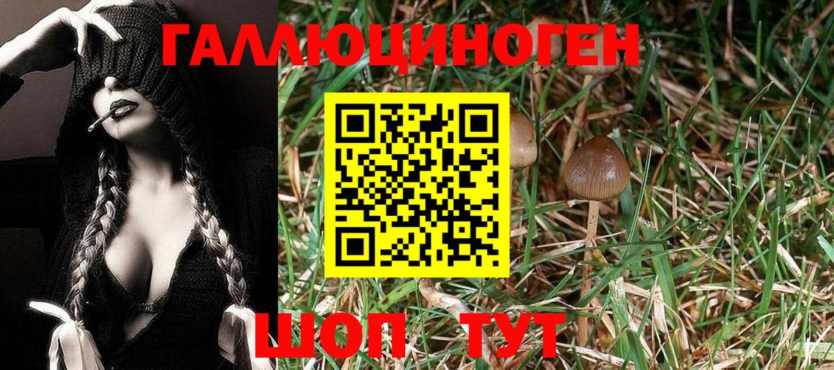 Псилоцибиновые грибы Magic Shrooms Саранск