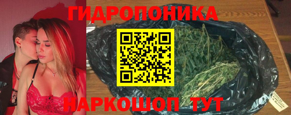 Канабис Amnesia Саранск
